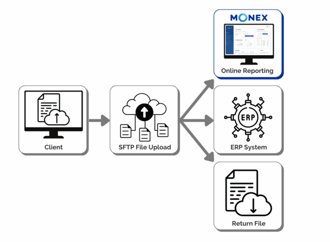 Mass payments platform for bulk upload processing
