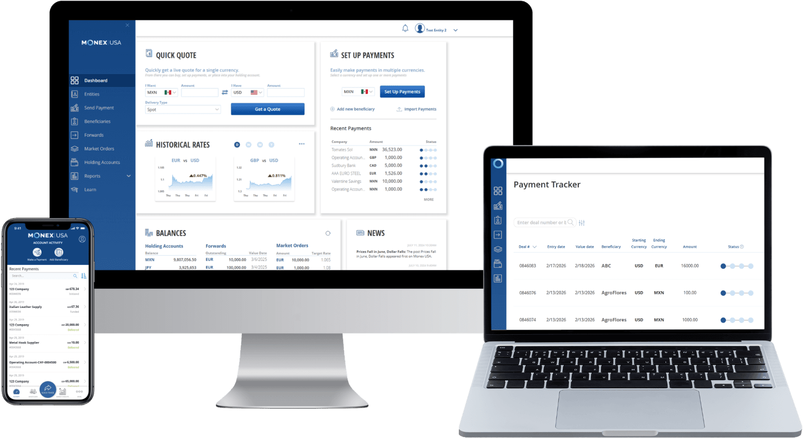 Monex Online — Global Payment Network Platform
