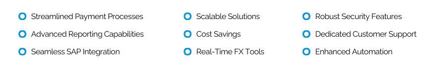 Benefit of Monex Global for SAP Users (1)