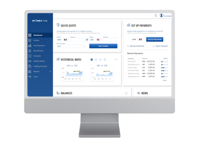 Monex Global Online platform dashboard