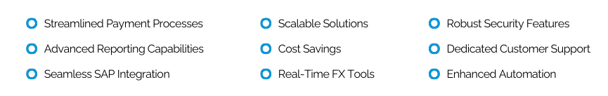 Benefit of Monex Global for SAP Users (1)